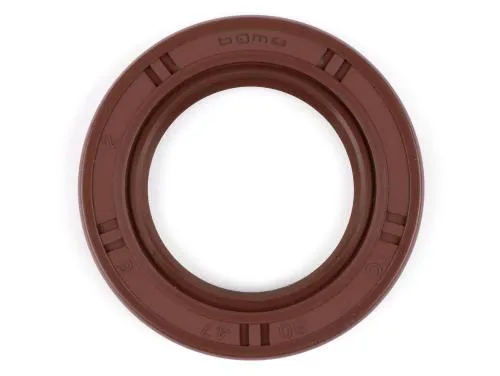 Paraolio tamburo 30x47x6mm BGM PRO FKM Viton