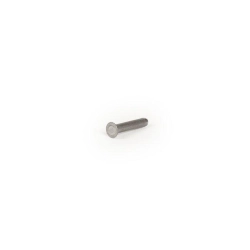 Ribattino per kit riparazione ingranaggio elastico -BGM ORIGINAL- Vespa Wideframe Vespa VM, VN, VL, VB, VNA, VNB, VBA, VBB, VGLA, VGLB, VNC1T (-110000)