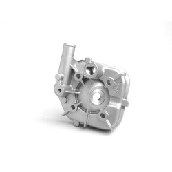 Testa cilindro -QUALITÀ OEM 50 cc- Peugeot LC (vertical) - SPEEDFIGHT1 50 cc LC, SPEEDFIGHT2 50 cc LC, XFIGHT 50e