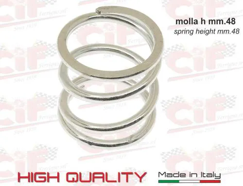 Gruppo frizione completa FABBRI R12