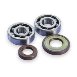 Kit revisione albero motore Polini in FKM per Vespa 50 - Primavera - ET3
