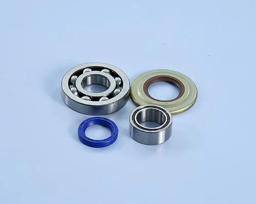 Kit Polini 282.0207 per Vespa PX e PE 125-200: cuscinetti 25 x 38 x 15 e 25 x 62 x 12 mm, paraoli FKM con quote dedicate.