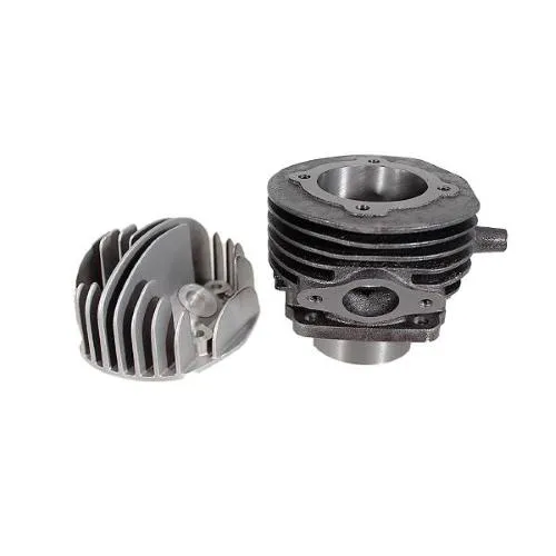 Gruppo termico EVOK 100081370 da 102 cc: cilindro in ghisa Ø55 mm, corsa 43 mm, raffreddamento ad aria e testa in alluminio per Smallframe.