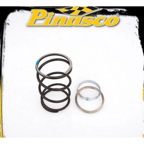 Pinasco Spring Slider 10412023 con molla di contrasto per trasmissioni automatiche Aprilia, Benelli, Malaguti e Yamaha 250 compatibili.