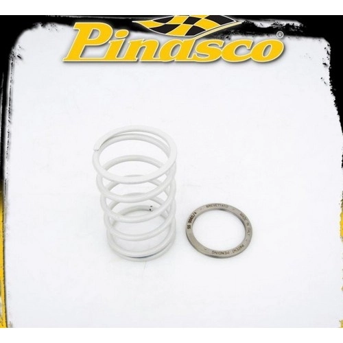 Pinasco Spring Slider 10412062 completo di molla di contrasto per Suzuki Burgman AN 250 fino al 2000. Sistema per limitare la torsione della molla nel correttore posteriore della trasmissione CVT.