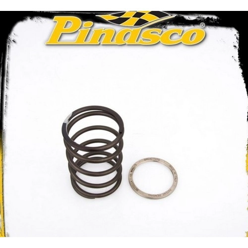 Kit Pinasco Spring Slider 10412078 con molla dedicata e cuscinetto assiale per Honda CN 250 e Piaggio Hexagon 250 4T compatibili. Verificare la trasmissione installata.