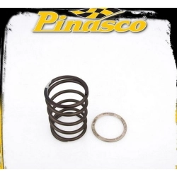 Kit Pinasco Spring Slider 10412078 con molla dedicata e cuscinetto assiale per Honda CN 250 e Piaggio Hexagon 250 4T compatibili. Verificare la trasmissione installata.