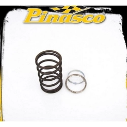 Spring Slider Pinasco 10412079 con cuscinetto assiale e molla dedicata per Kymco Dink 125 150. Riduce la torsione della molla nel correttore CVT.