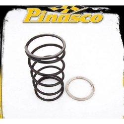 Kit Spring Slider Pinasco 10412083 con cuscinetto assiale e molla di contrasto per Suzuki Burgman AN 400 compatibili.