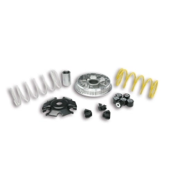 Malossi Multivar 2000 5116674 per Vespa Primavera e Sprint 125 3V/iGet e Piaggio Liberty 125-150 compatibili. Kit variatore completo.