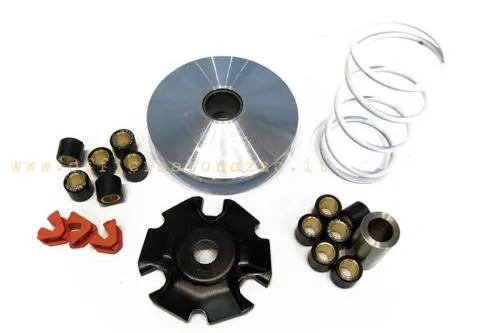 Multivar 2000 Malossi variator weights 14 g for Vespa - X7 - X8 - X9 - X EVO - Beverly - Carnaby - Runner - DNA - Nexus - ZIP 125