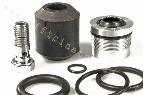 kit revisione ammortizzatore Bitubo PV013YLV01