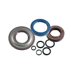 Serie paraolio motore in Viton per Vespa 50 - ET3 - Primavera