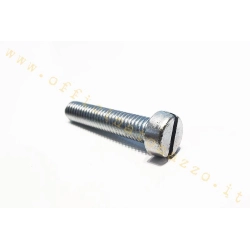 Bullone testa a taglio M7x20mm