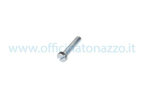 Vite testa a taglio M5x25mm
