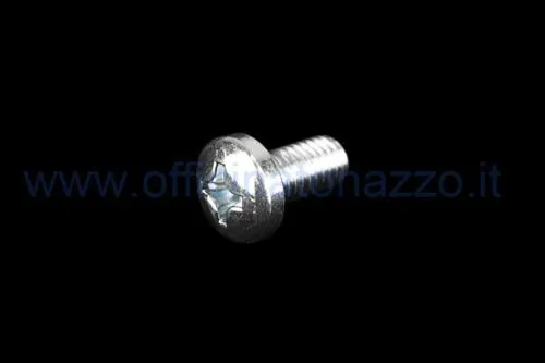 Vite M6x12 mm per fissare la cuffia motore su Vespa 50, Primavera, ET3 e PK. Confrontare testa e sede prima del montaggio.