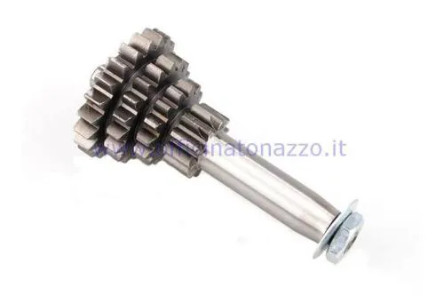Quadruplo Pinasco Gran Turismo 25270900 Z 10-14-18-21 con quarta corta per cambi Vespa Smallframe a quattro marce compatibili.