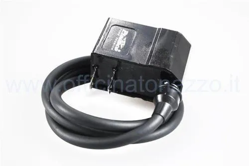 Centralina CDI Pinasco 25350010 ad anticipo variabile per accensioni Flytech 12 V Vespa Smallframe, Largeframe, Wideframe, Cosa, LML e Ape.
