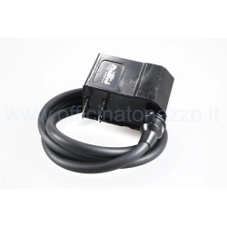 Centralina CDI Pinasco 25350010 ad anticipo variabile per accensioni Flytech 12 V Vespa Smallframe, Largeframe, Wideframe, Cosa, LML e Ape.