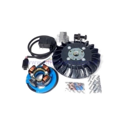 Accensione Parmakit anticipo variabile cono 19 - 1.0 kg con volano IDM rivettato per Vespa 50 - ET3 - Primavera - PK (ventola carbon look)