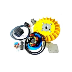 Accensione Parmakit anticipo variabile cono 20 - 1,0 kg con volano ricavato dal pieno per Vespa PK XL - ETS - HP - FL (ventola gialla)