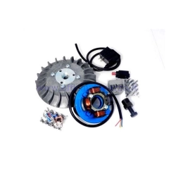 Accensione Parmakit anticipo variabile cono 19 - 1.0 kg con volano ricavato dal pieno per Vespa 50 - ET3 - Primavera - PK (ventola grigia)