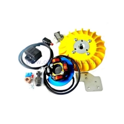 Accensione Parmakit anticipo variabile cono 19 - 1.0 kg con volano ricavato dal pieno per Vespa 50 - ET3 - Primavera - PK (ventola gialla)