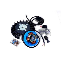 Accensione Parmakit anticipo variabile cono 19 - 1.0 kg con volano ricavato dal pieno per Vespa 50 - ET3 - Primavera - PK (ventola carbon look)
