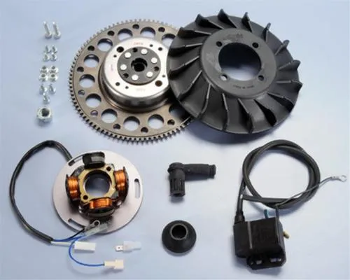 Accensione Polini ad anticipo variabile per Vespa PX e PE con avviamento elettrico: volano 1,4 kg, cono 20 e impianto 12 V/90 W.