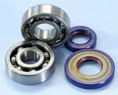 Kit Polini 282.0005 per Vespa 50, Primavera ed ET3 con albero cono 19 mm: cuscinetti C4 e paraoli FKM con labbro PTFE.