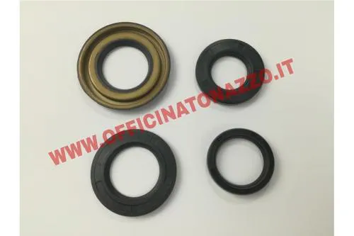 Serie paraolio completa per Vespa GS160 - SS180