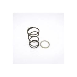 Spring slider c/molla Pinasco Vespa et 4 125