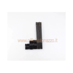 Serie de tornillos para cárter motor Pinasco Master-Slave Vespa PX- Rally 200