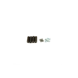 Kit de revisión del embrague primario racing Pinasco Vespa small