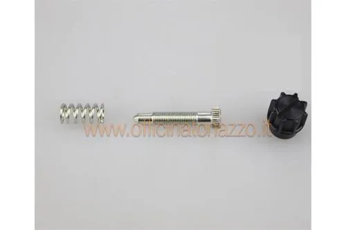 Vite di regolazione valvola gas per carburatore VHSH...BS-CS