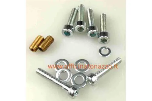 Kit viti completo per collettore aspirazione Malossi Ø28/30 lamellare al carter per Vespa PX - PE