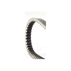 Cinghia Dayco CVT7123 da 15x621 mm per Vespa PK 50 XL Automatica e Plurimatic compatibili. GTIN 8021787568004, riferimento 236102.