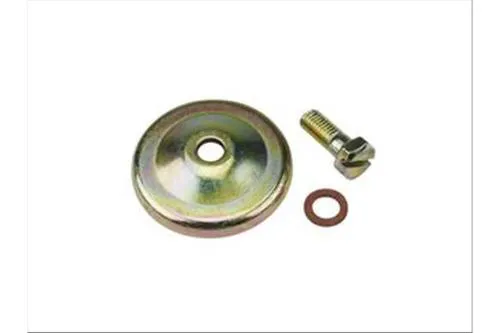 SI carburettor float fuel filter cover