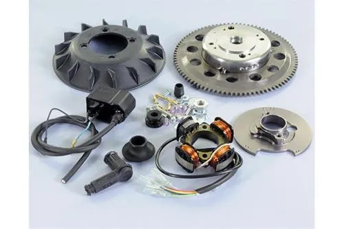 ACCENSIONE POLINI PER APE 50 1.4 kg AVV.ELETTRICO 5 FILI