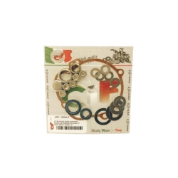 Kit revisione mozzo posteriore per Ciao, SI, Bravo, Boxer con variatore.