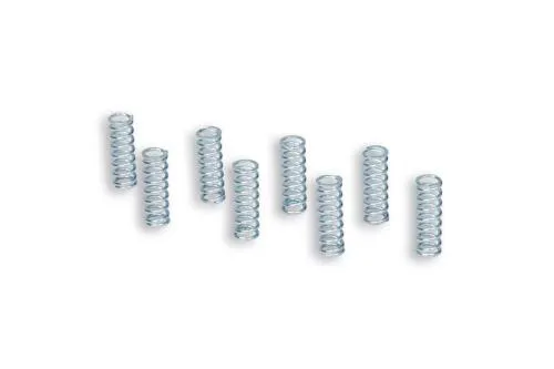 Kit de 8 muelles de embrague Malossi para Vespa COSA 125-150-200 - PX 125-150 euros 2-3 - PX E 200
