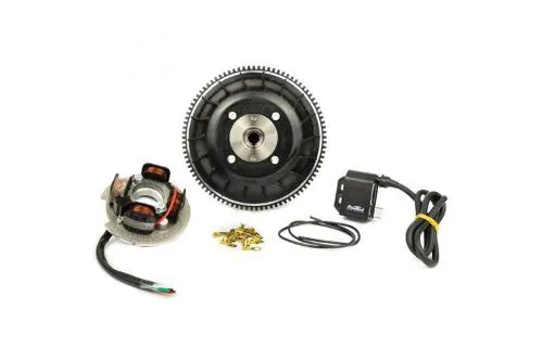 Pinasco Flytech 25356860 per Ape 50 con avviamento elettrico: anticipo variabile, statore 3 fili, cono 20 mm e rotore CNC da 1,5 kg.