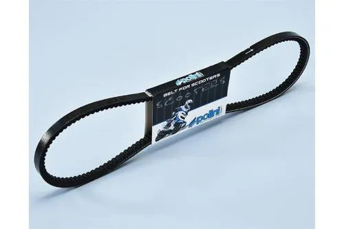 Cinghia Polini 248.105 da 9,5x7,7 mm e lunga 965 mm per Piaggio Ciao 50 senza variatore. Versione per trasmissione monomarcia.