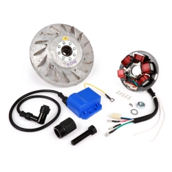 Accensione BGM Pro elettronico- Vespa PX (1984-), PX (2011-), Cosa, LML - 2300g