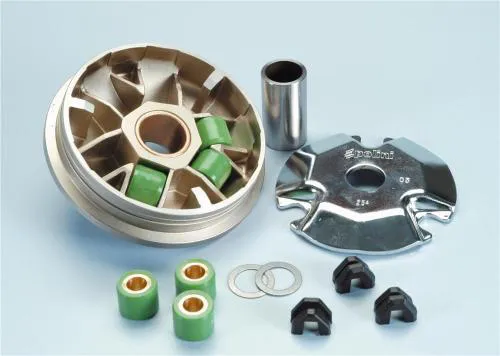 Variatore POLINI Maxi Hi-Speed, per AEON 50 Cabro/DINLI 50 Helix DL603/T-Rex, 16x13 mm, 6 rulli