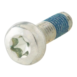 Tornillo guía cadena M5x16 mm, Torx, PIAGGIO para PIAGGIO Beverly/MP3/X10 350ccm 4T LC