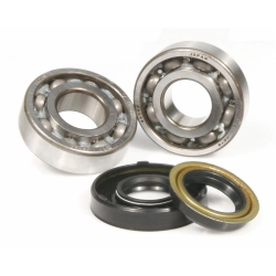 Cuscinetto albero motore per MINARELLI orizzontale/verticale 20x47x14 mm, albero motore PIAGGIO/GILERA, incl. paraolio