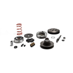 Complete Over Range Variator Malossi PIAGGIO MOPEDS