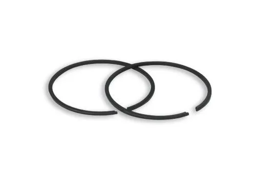 Fasce elastiche Ø 55x1,2 per Malossi 100cc