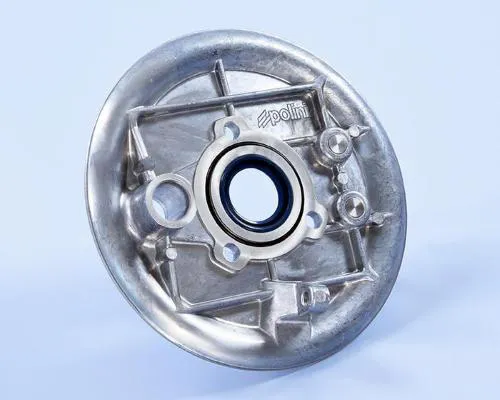 Piatto portaceppi posteriore Polini 170.0501 in lega rinforzata con O-ring, per Vespa 50 Special, 125 Primavera ed ET3.
